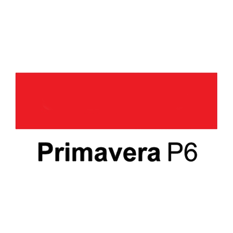 Primavera P6 Training