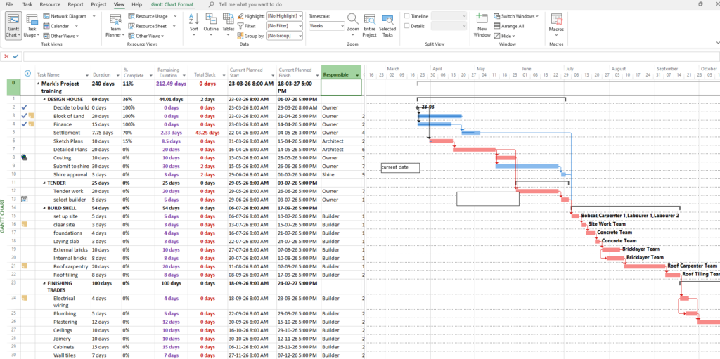 MS Project Training